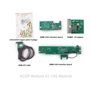 Home module 1:bmw cas module