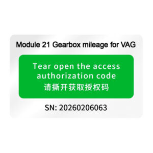 A605 License: Gearbox Mileage Correction for DQ200(0AM/0CW), DQ250(02E/0D9), DL382(0CK), VL381(0AW) | Works with ACDP Module 13